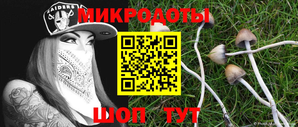 Новокубанск  Галлюциногенные грибы Cubensis  дарнет шоп  Вход с VPN 