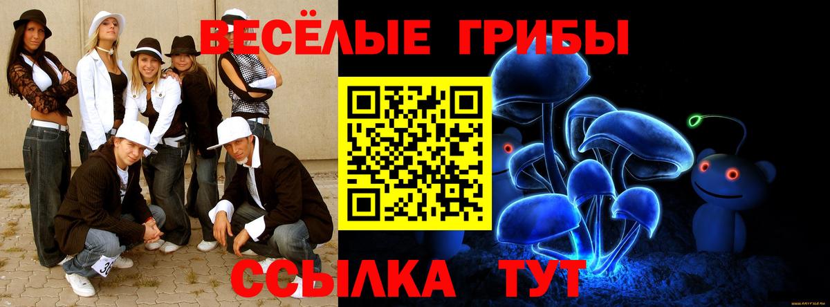 Галлюциногенные грибы мухоморы Новокубанск